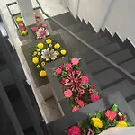 Enea Appartement